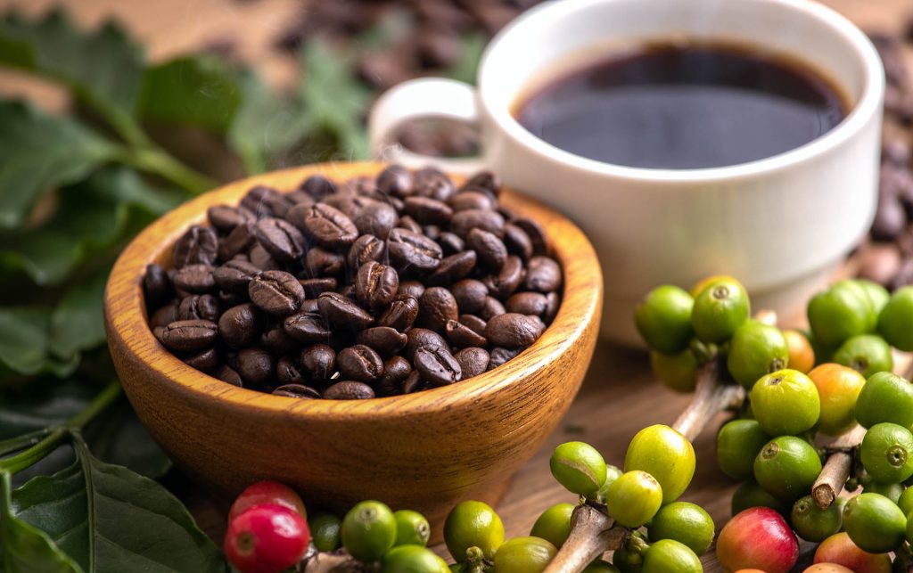 Kahve Nedir? 11 » Kuban® cup of coffee beans with smoke QUD84LB Kuban®